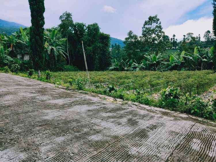 tanah kawasan wisata alam