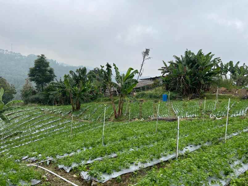 tanah kawasan wisata tawangmangu 2000m view cantik