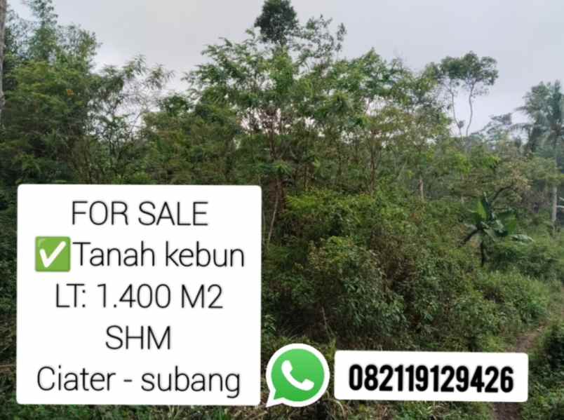 tanah kebun daerah ciater subang jawa barat