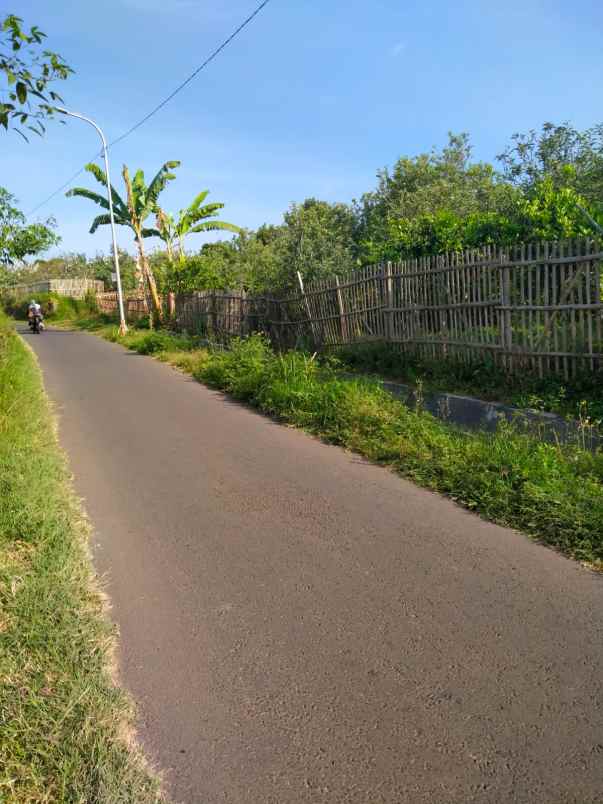 tanah kebun jeruk murah produktif di junggo kota batu