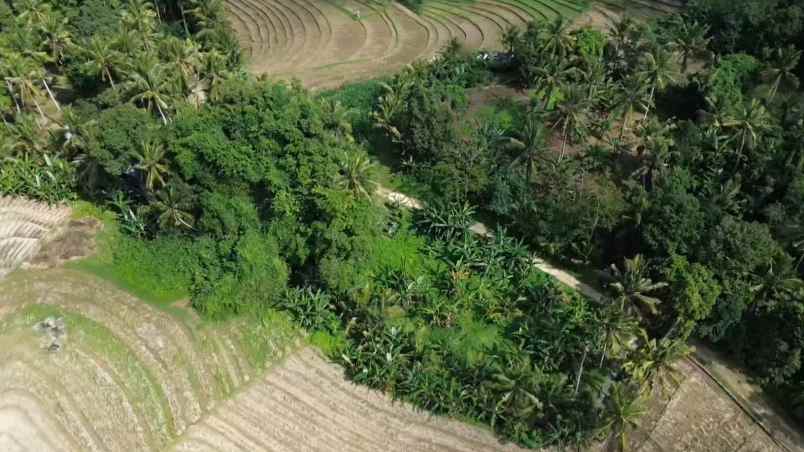 tanah kebun shm zona kuning pemukiman di tabanan balu