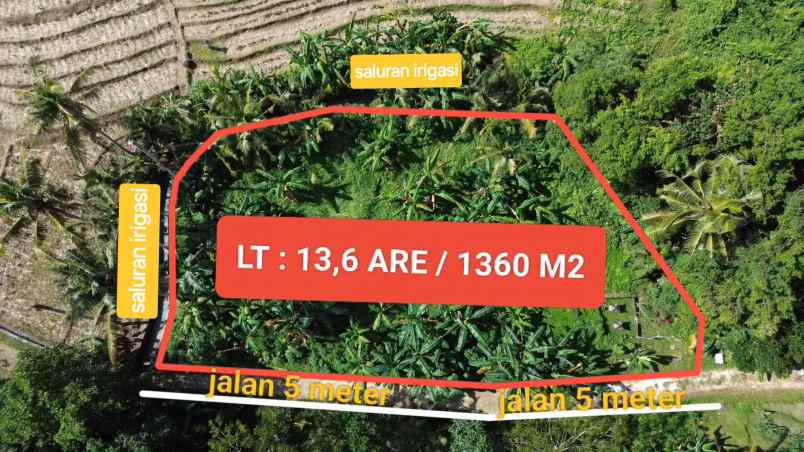 tanah kebun shm zona kuning pemukiman di tabanan balu