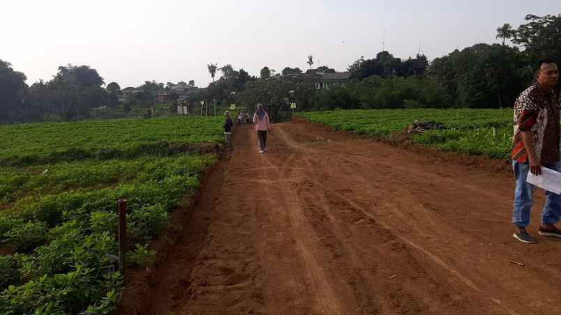 tanah megamendung puncak bogor