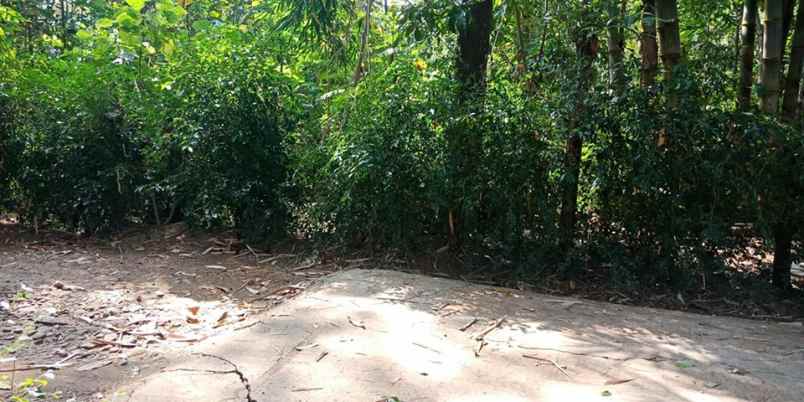 tanah mojogedang karanganyar