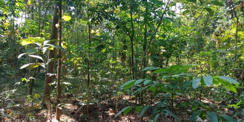 tanah mojogedang karanganyar