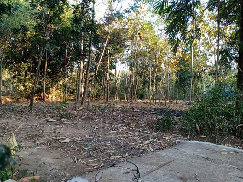 tanah mojogedang karanganyar