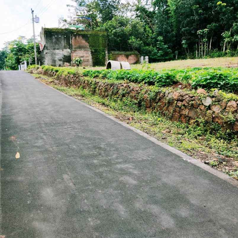 tanah mojogedang karanganyar