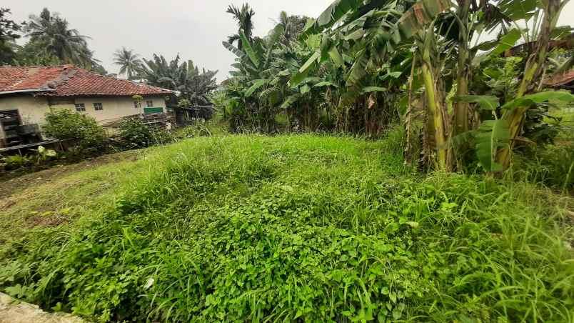 tanah murah dekat ke jalan utama jl raya ciseeng