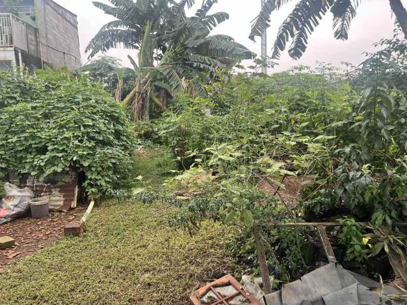 tanah murah luas 295 m ratu jaya depok