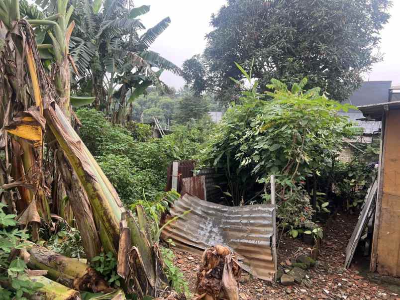 tanah murah luas 295 m ratu jaya depok