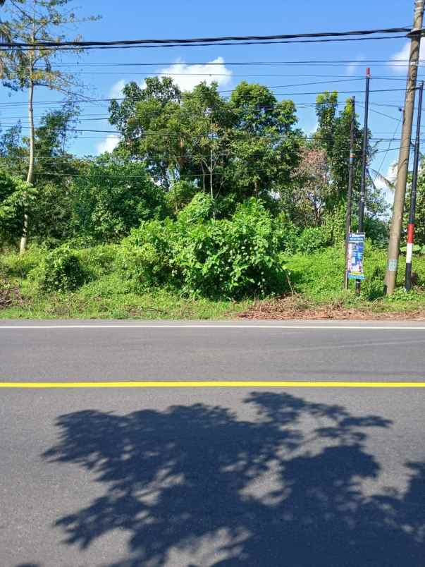 tanah murah pinggir jalan raya