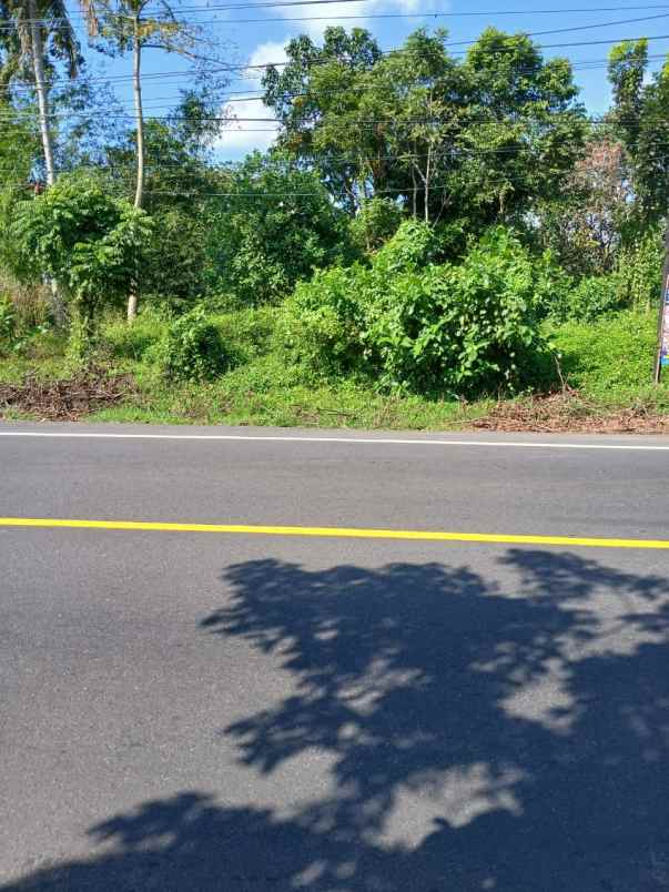 tanah murah pinggir jalan raya