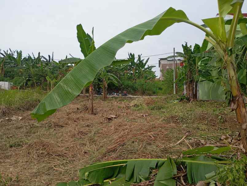 tanah shm ready di sendangmulyo tembalang semarang