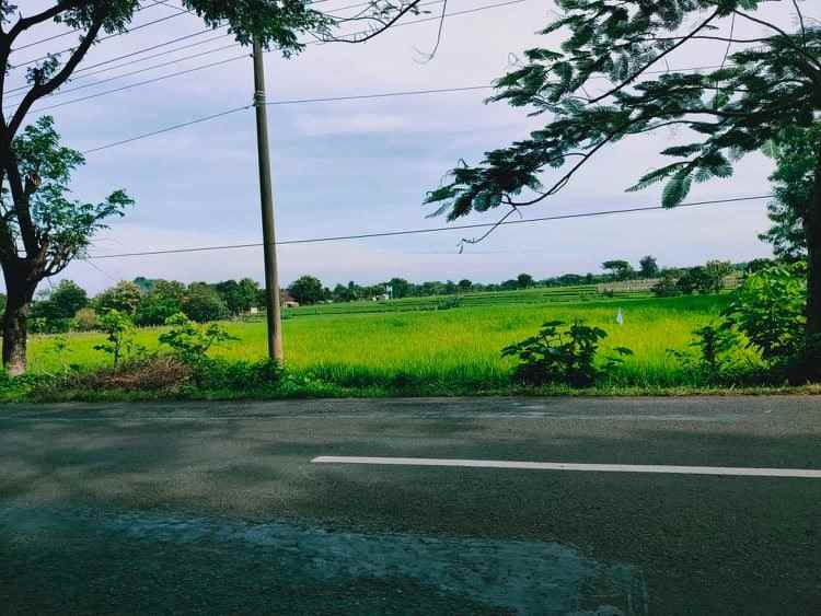 tanah tepi jl raya batujamus