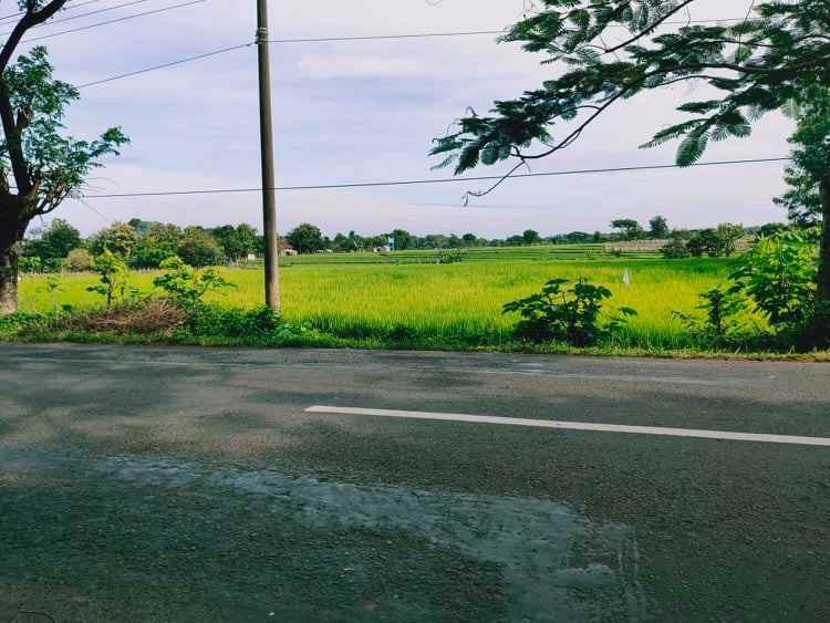 tanah tepi jl raya batujamus