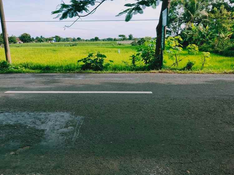 tanah tepi jl raya batujamus