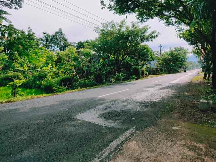 tanah tepi jl raya batujamus