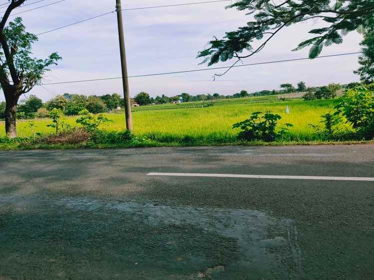 tanah tepi jl raya batujamus