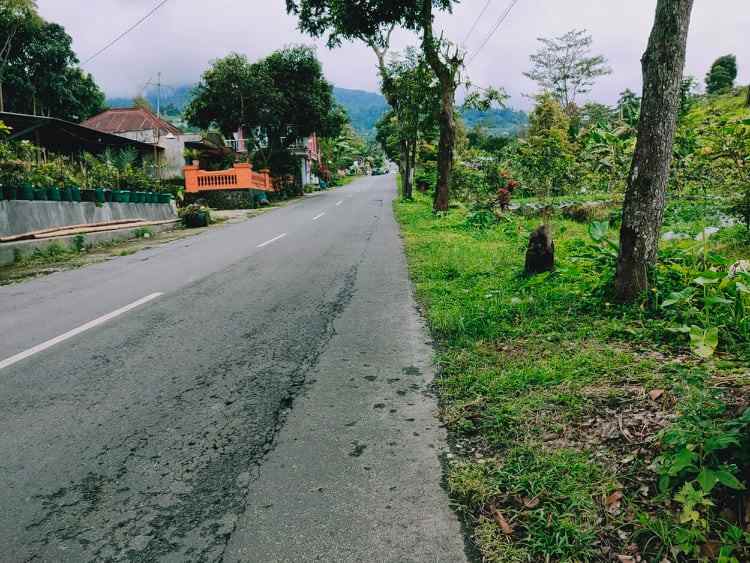 tanah tepi jl raya kemuning