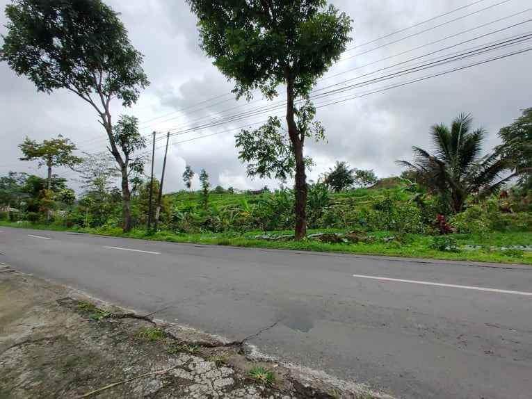 tanah tepi jl raya kemuning