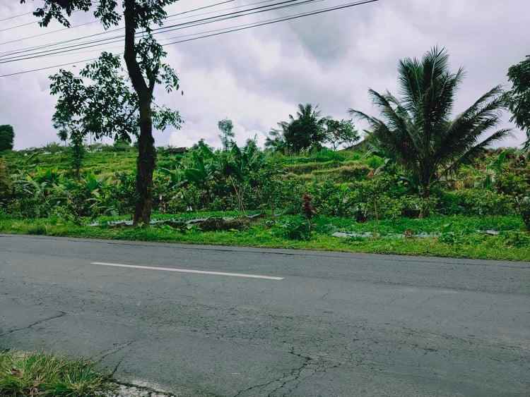 tanah tepi jl raya kemuning