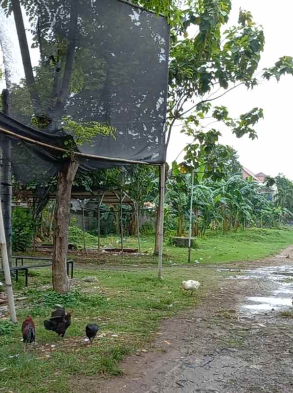 tanah untuk perumahan di meruya jakarta barat