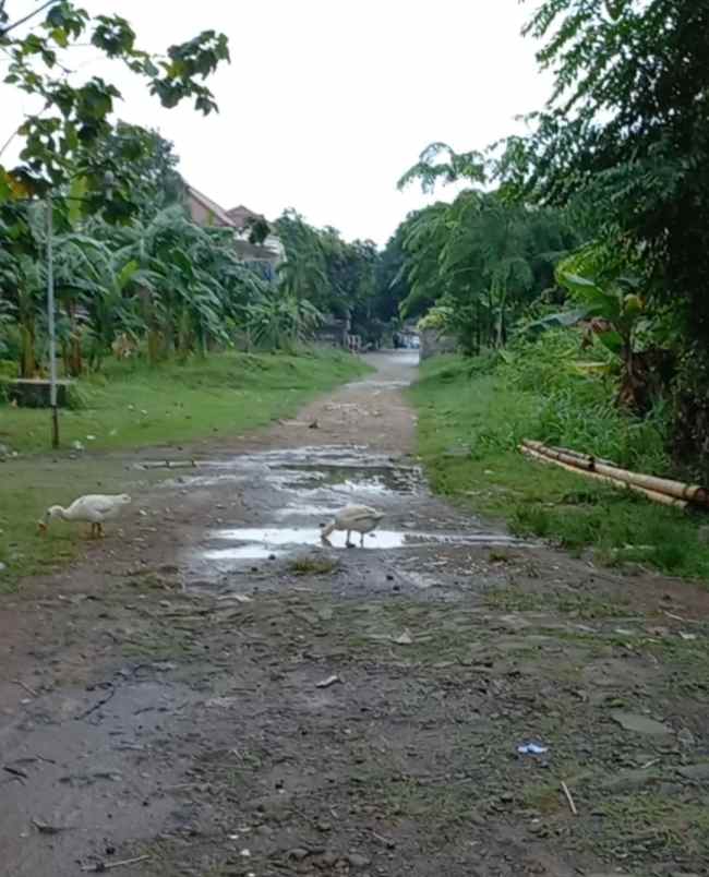 tanah untuk perumahan di meruya jakarta barat