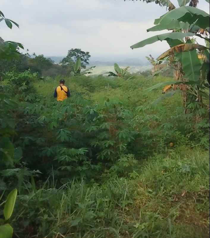 tanah view bagus pinggir jl di palutungan kuningan