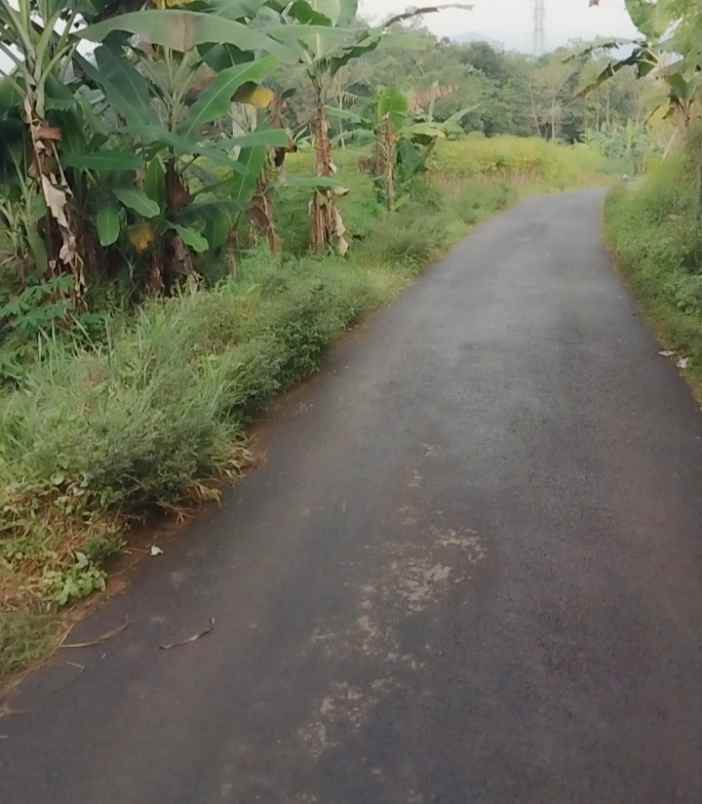 tanah view bagus pinggir jl di palutungan kuningan
