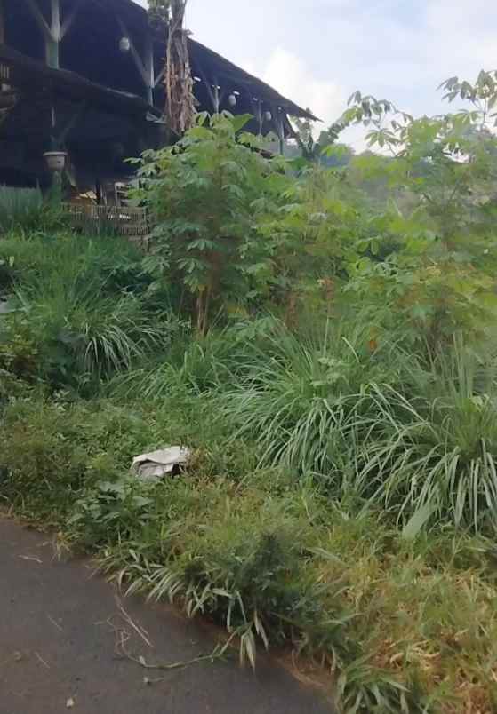 tanah view bagus pinggir jl di palutungan kuningan