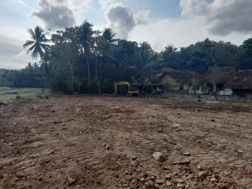 utara bandara yia jogja cocok bangun kost hunian