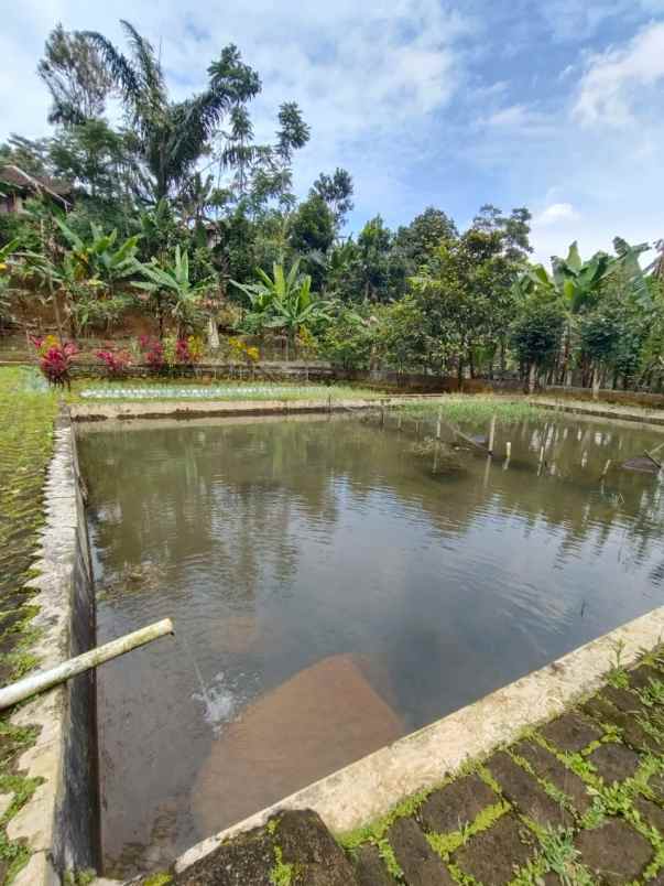 vila daerah wanayasa purwakarta jawa barat