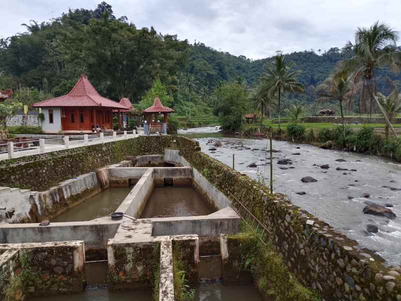vila kolam ikan dekat sungai view bagus di subang