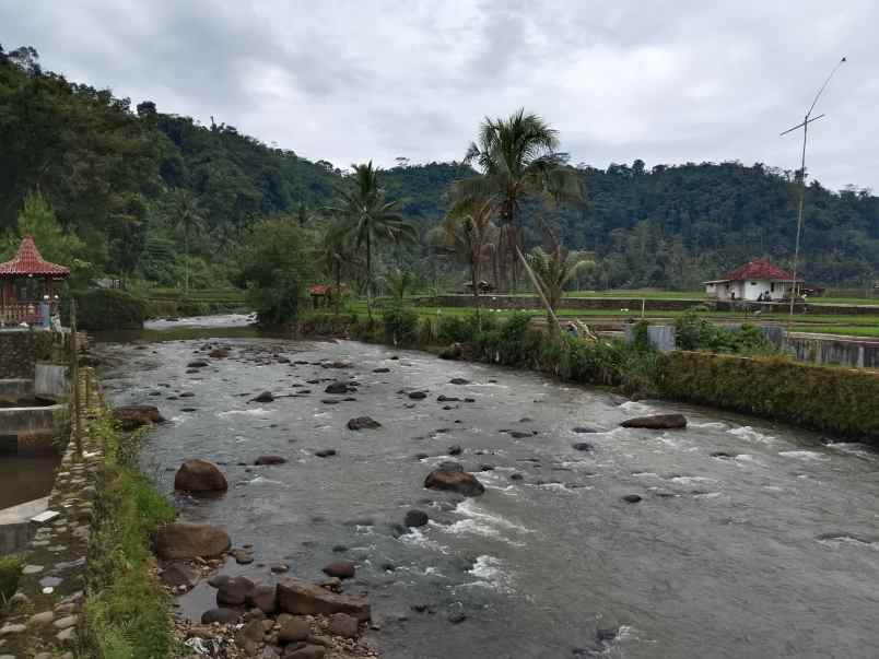 vila kolam ikan dekat sungai view bagus di subang