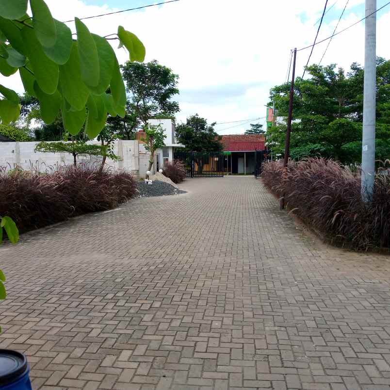 wood modern minimalis grand flora permata