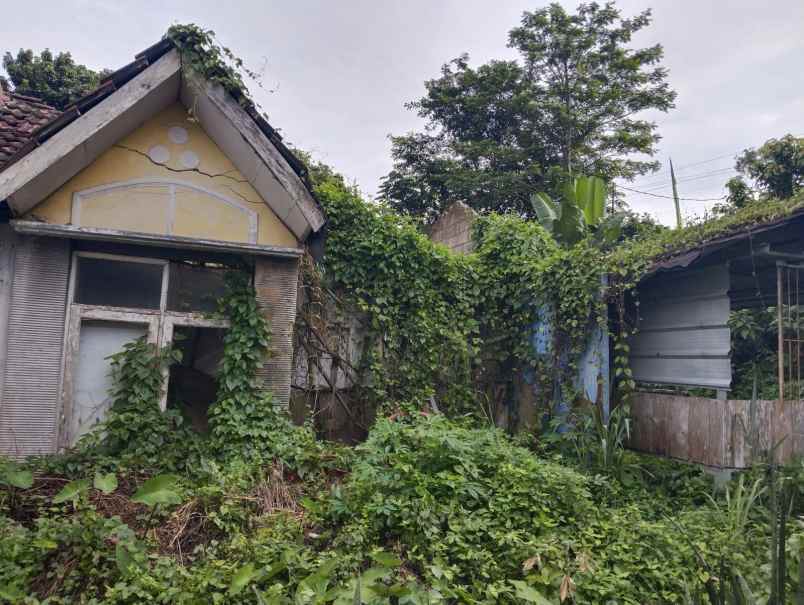 dijual cepat tanah di griya indah serpong