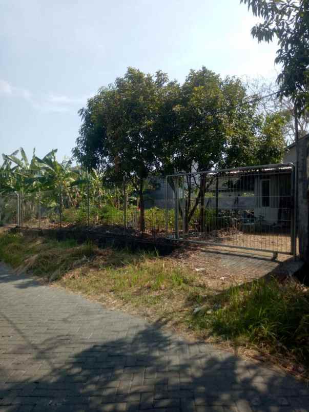 dijual ruko gudang kantor alam bukit raya