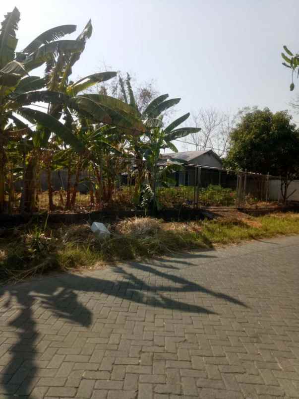 dijual ruko gudang kantor alam bukit raya