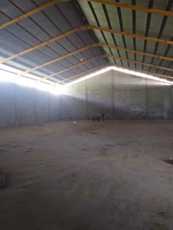 dijual ruko gudang kantor jl raya mojoagung palrejo