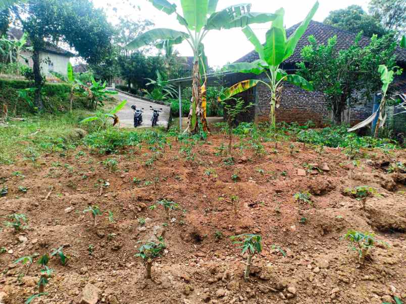 dijual rumah 805m kerjo karanganyar solo