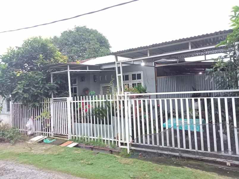 dijual rumah jalan perkebunan