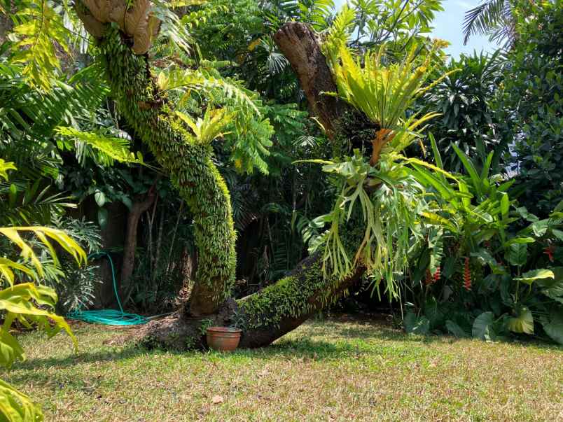 dijual rumah jl bangka pela mampang kec