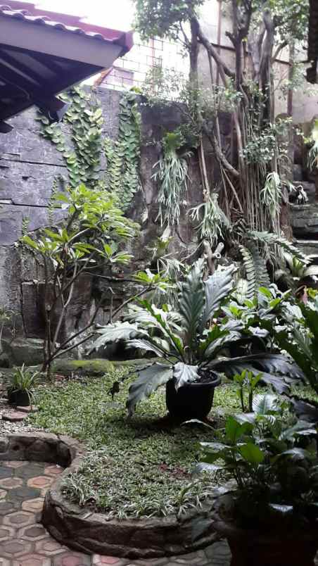 dijual rumah jl cilandak raya jakarta