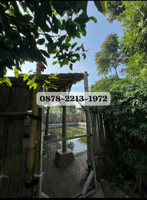 dijual rumah lembang bandung