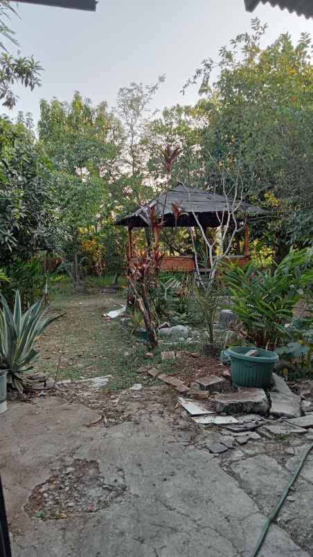 dijual rumah sukatani bekasi