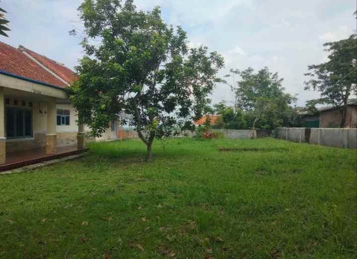 dijual rumah tanah luas pinggir jalan view sawah