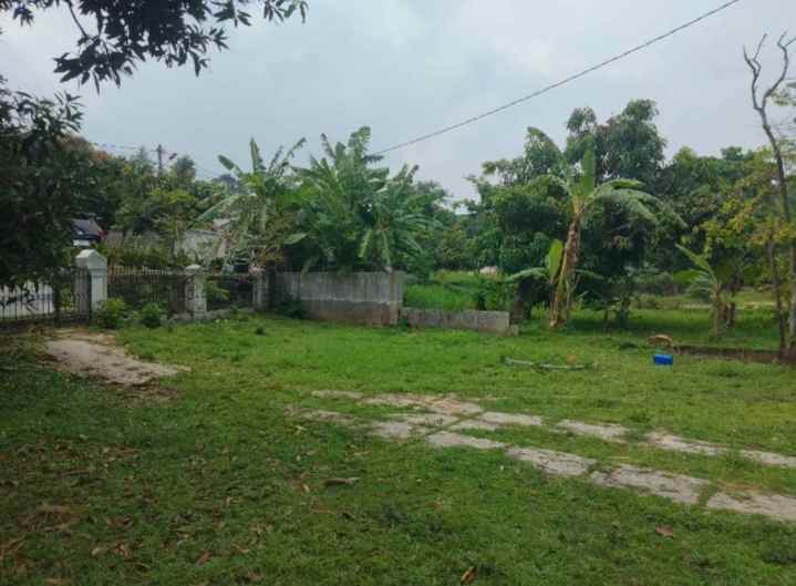 dijual rumah tanah luas pinggir jalan view sawah