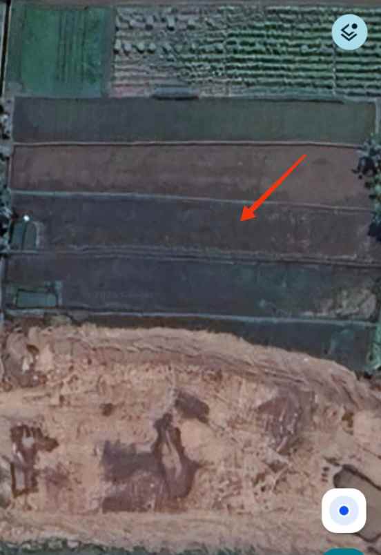 dijual sawah strategis di jalan cangkringan sleman