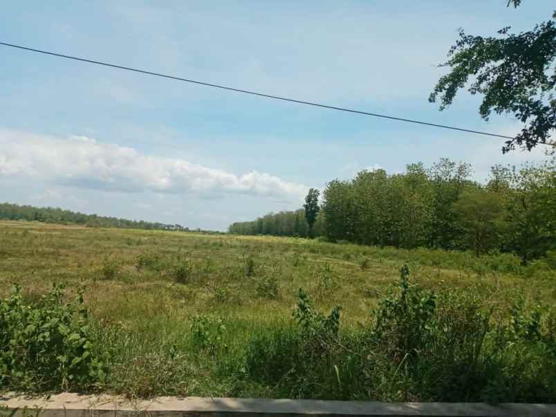 dijual tanah 20 000m2 dengan prospek besar