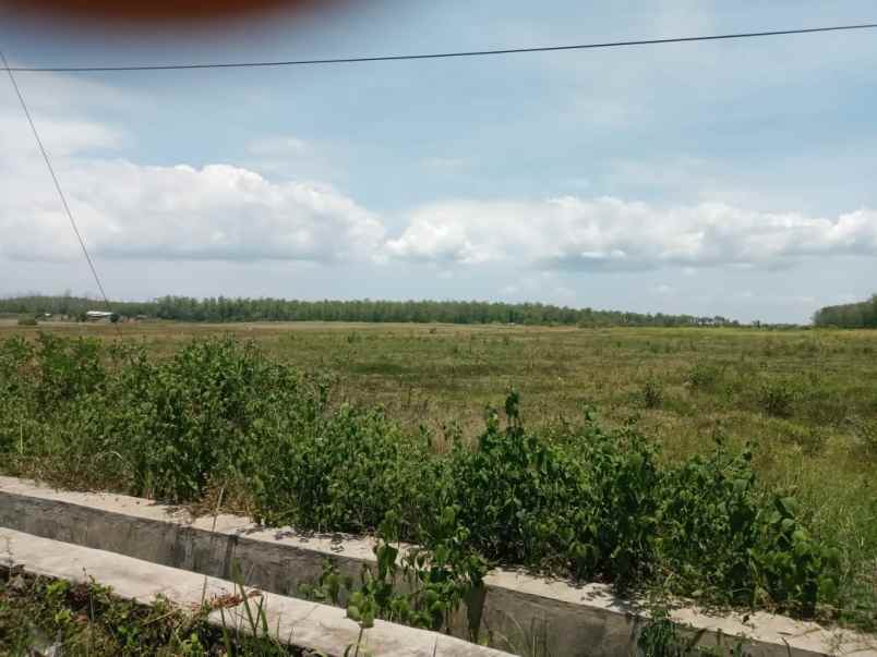 dijual tanah 20 000m2 dengan prospek besar